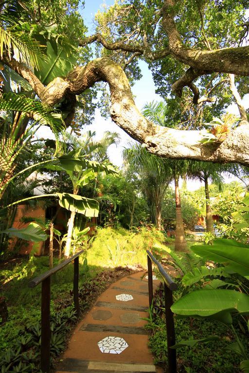 Lidiko Lodge St Lucia Exterior photo