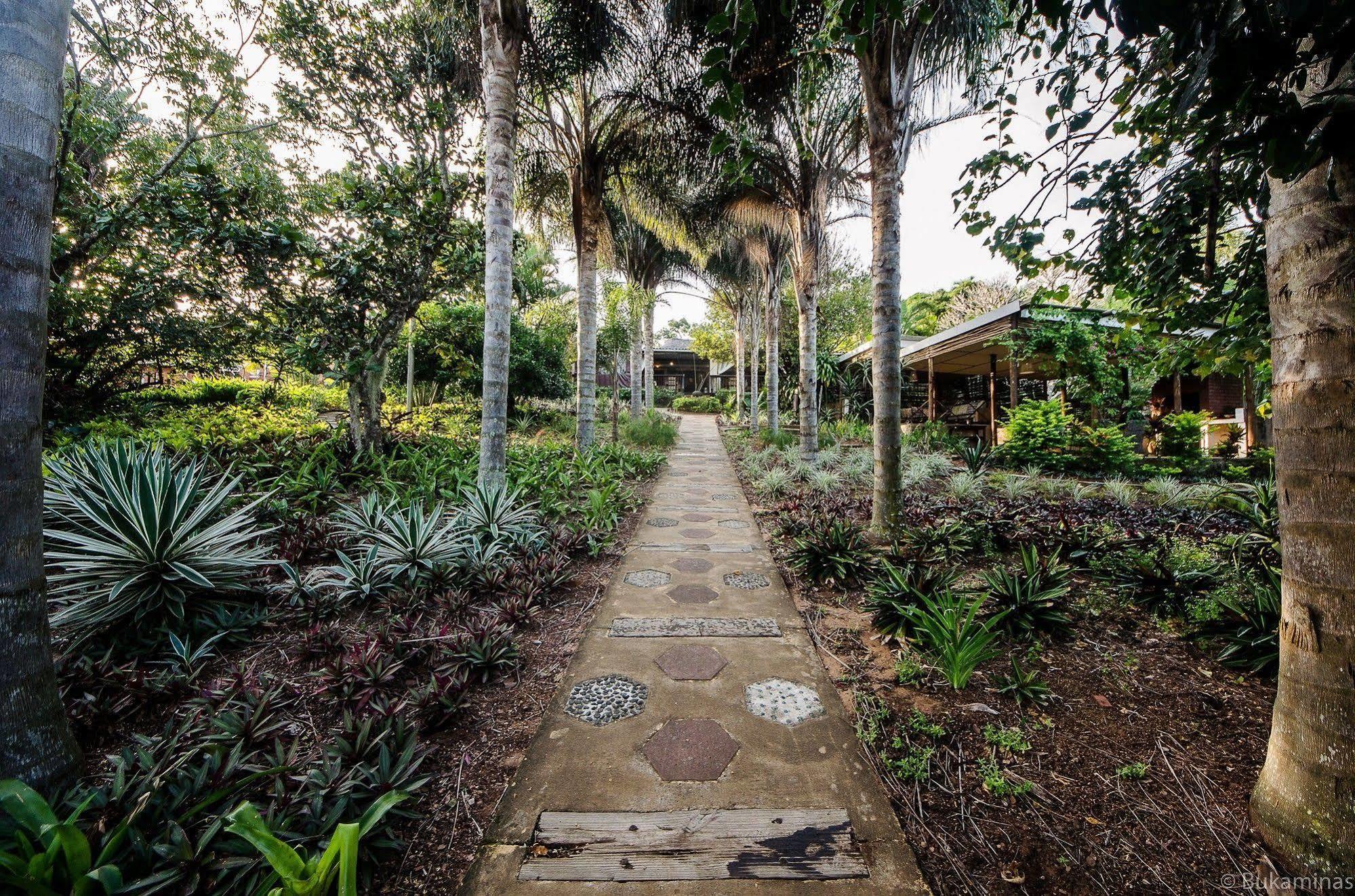 Lidiko Lodge St Lucia Exterior photo